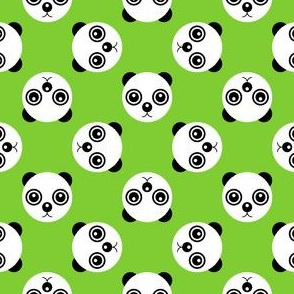 10889264 : panda polka green