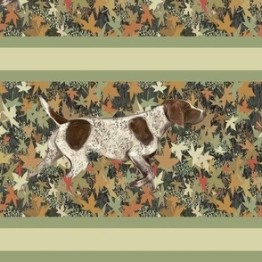 German Shorthaired Pointer Stripe on Autumn Leaves