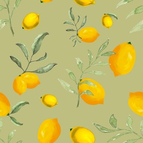 Citrus,lemons,lemon fruit pa