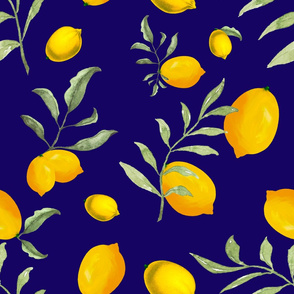  Citrus, lemons,Mediterranean pa