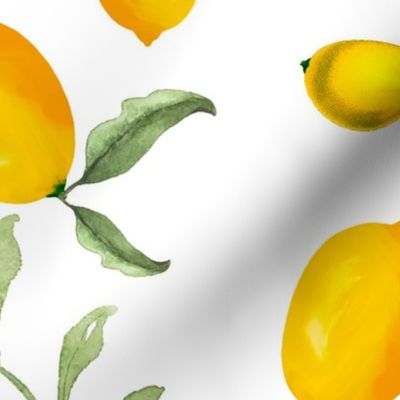 Citrus fruits,lemons,summer pattern 