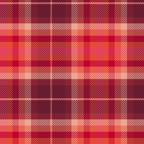 Plaid Red and Pinks Medium