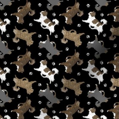 Tiny Trotting brindle long coat Chihuahuas and paw prints - black