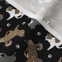 Tiny Trotting brindle long coat Chihuahuas and paw prints - black