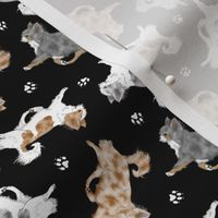 Tiny Trotting merle long coat Chihuahuas and paw prints - black