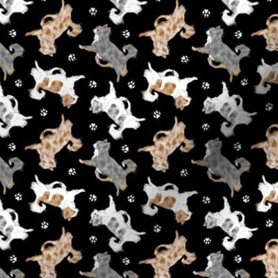Tiny Trotting merle long coat Chihuahuas and paw prints - black
