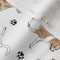 Trotting merle smooth coat Chihuahuas and paw prints - white