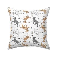 Trotting merle smooth coat Chihuahuas and paw prints - white