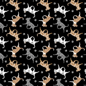 Trotting merle smooth coat Chihuahuas and paw prints - black