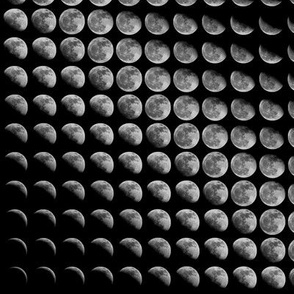 Moon Phases