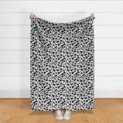 dog, dalmatian, dog puppies, dalmatian puppies, dalmatian dog, dog coat pattern, dalmatian coat pattern, baby dalmatian, dalmatian spots, dalmatians dogs 101, animal skin, animal pattern, animal coat, dalmatian pattern, dalmatian coat 