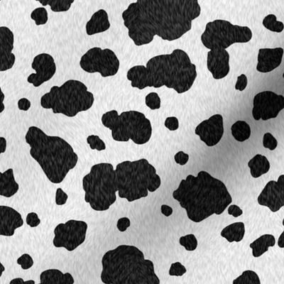 dog, dalmatian, dog puppies, dalmatian puppies, dalmatian dog, dog coat pattern, dalmatian coat pattern, baby dalmatian, dalmatian spots, dalmatians dogs 101, animal skin, animal pattern, animal coat, dalmatian pattern, dalmatian coat 