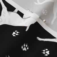 Trotting White Boxers and paw prints - black