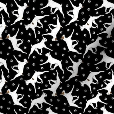 Tiny Trotting White Boxers and paw prints - black