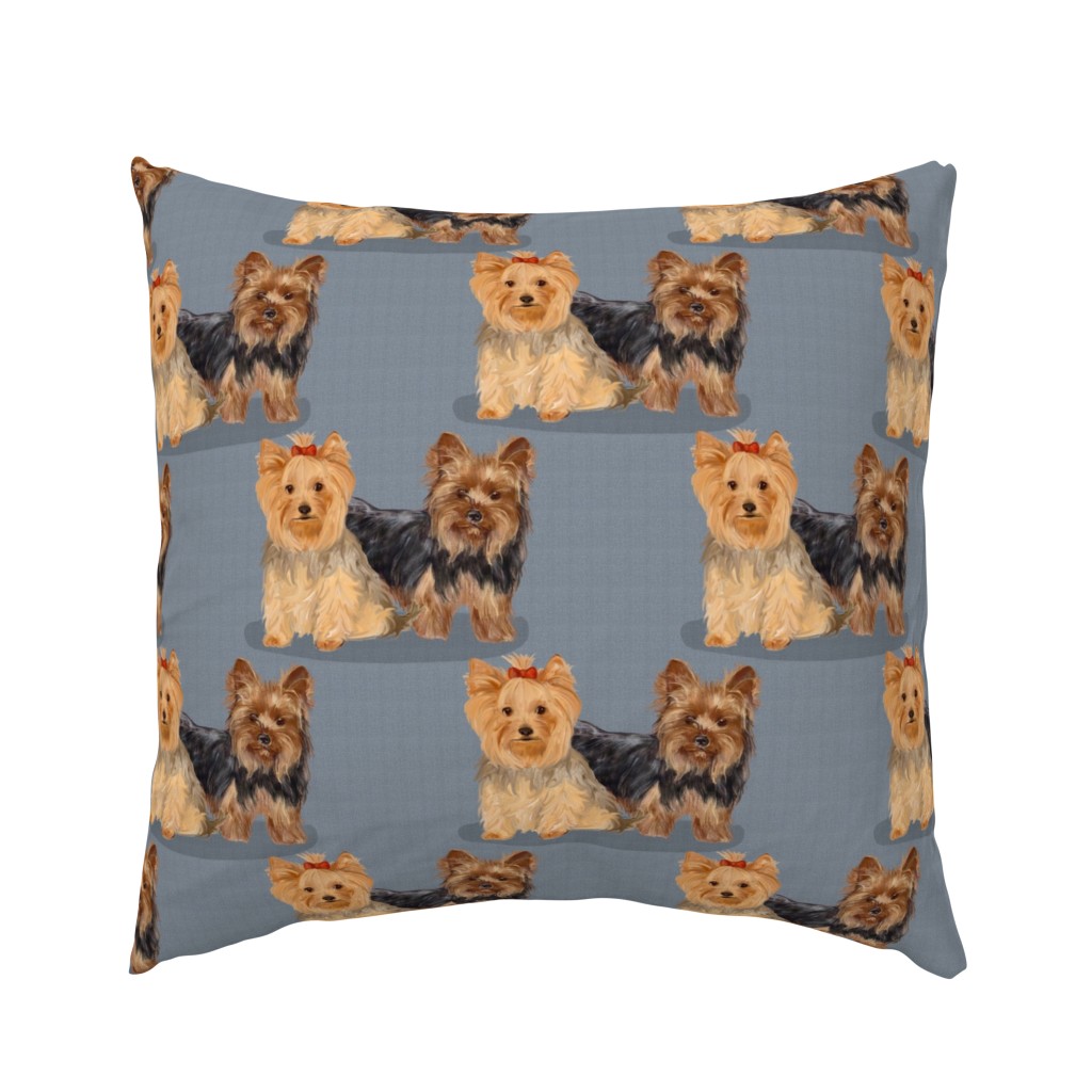 Two Yorkshire Terriers on Blue