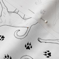Trotting natural White Boxers and paw prints - white