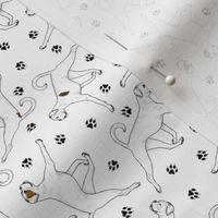 Tiny Trotting natural White Boxers and paw prints - white