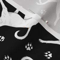 Trotting natural White Boxers and paw prints - black