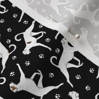 Tiny Trotting natural White Boxers and paw prints - black