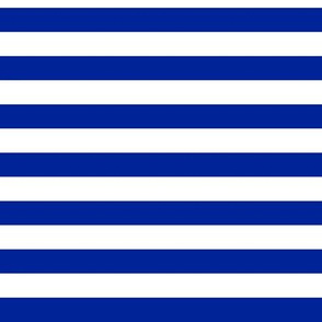 Imperial Blue Awning Stripe Pattern Horizontal in White