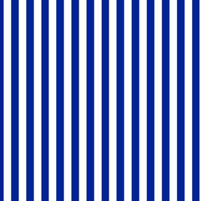 Imperial Blue Bengal Stripe Pattern Vertical in White