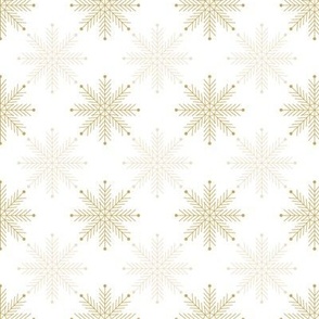 Snowflakes // Geo