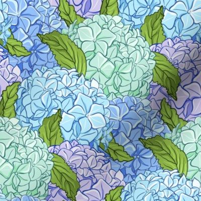 Blue green hydrangea