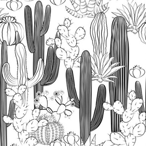 cacti_outline_seaml