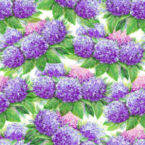 Painting purple hydrangea flowers