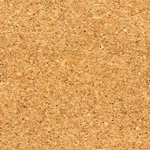 Cork board texture