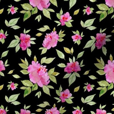 pink peonies on black