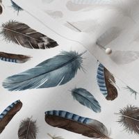 gray-blue and brown watercolor feathers