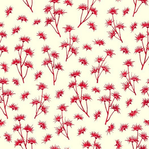 blooming chrysanthemums - red