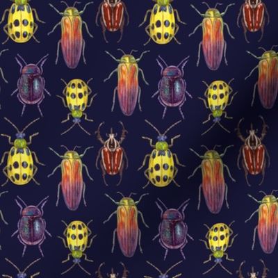 colorful bugs on dark blue