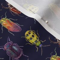 colorful bugs on dark blue