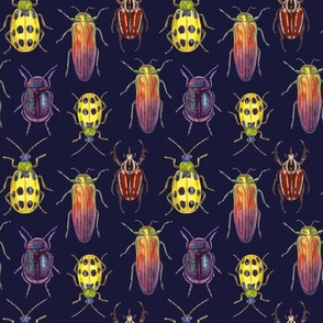 colorful bugs on dark blue