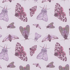 vintage moths in lilac colors
