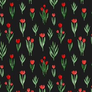 red tulips on a dark background