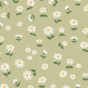 daisy meadow on a green background