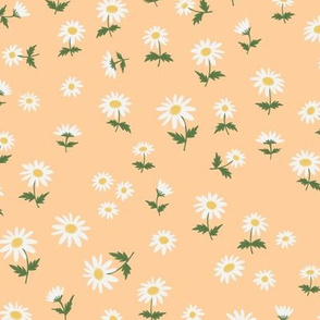 daisy meadow on a peach background
