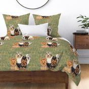 Yorkshire and Biewer Terriers on Wildflower Field for Pillow