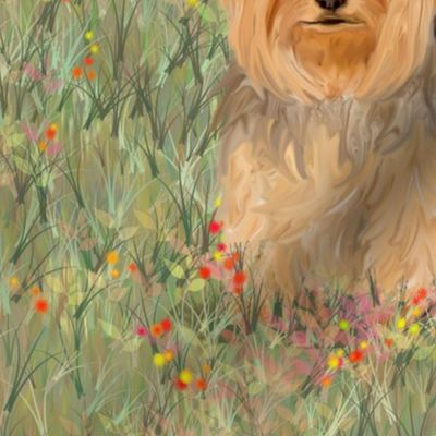 Yorkshire and Biewer Terriers on Wildflower Field for Pillow