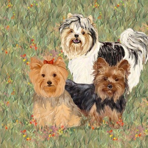 Yorkshire and Biewer Terriers on Wildflower Field for Pillow