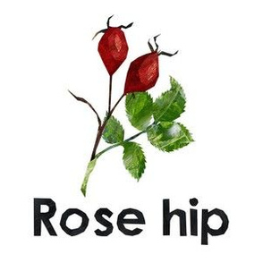 rose hip  - 6" Panel