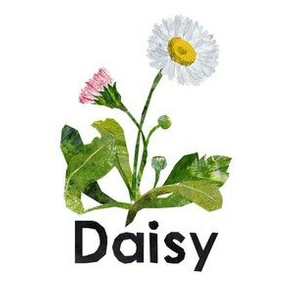 daisy  - 6" Panel