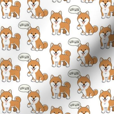 Shiba Inu Small on White