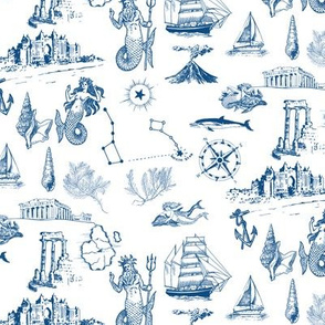 Atlantic Ocean Nautical Toile de Jouy Print in Blue and White Print