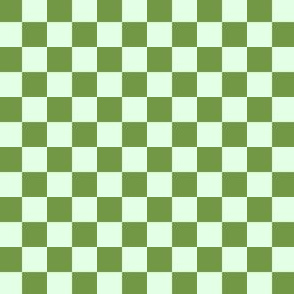 Green and Mint Checkerboard 1/2"