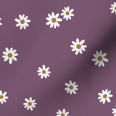 86-11 daisies
