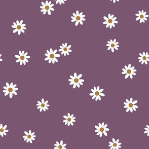 86-11 daisies